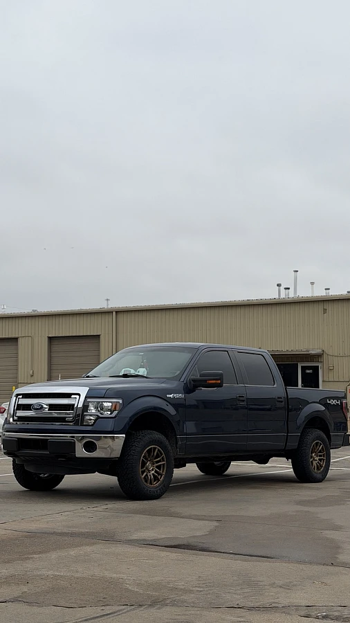 AGP 306 Bronze on 2015 Ford F-150