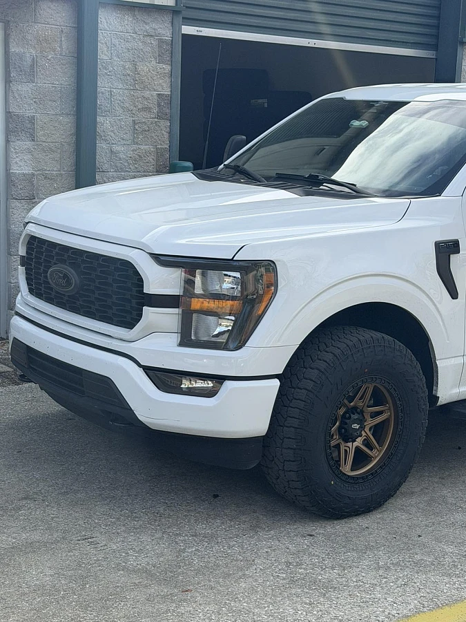 AGP 307 Bronze on 2026 Ford F-150